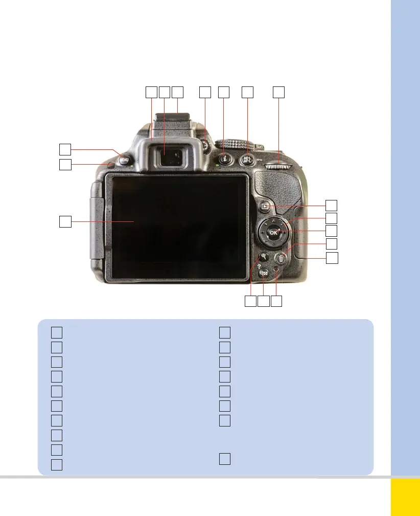 Page #13 background image