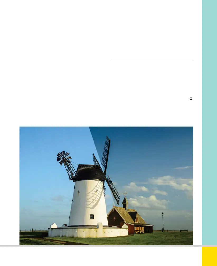 Page #209 background image