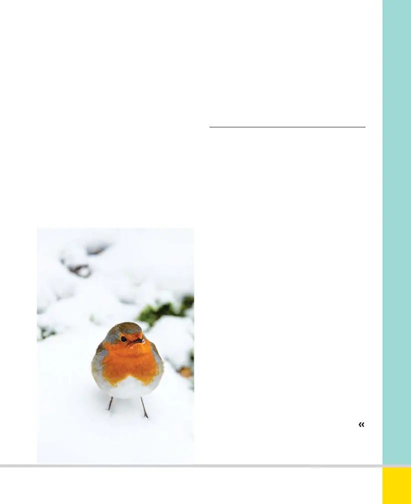 Page #213 background image