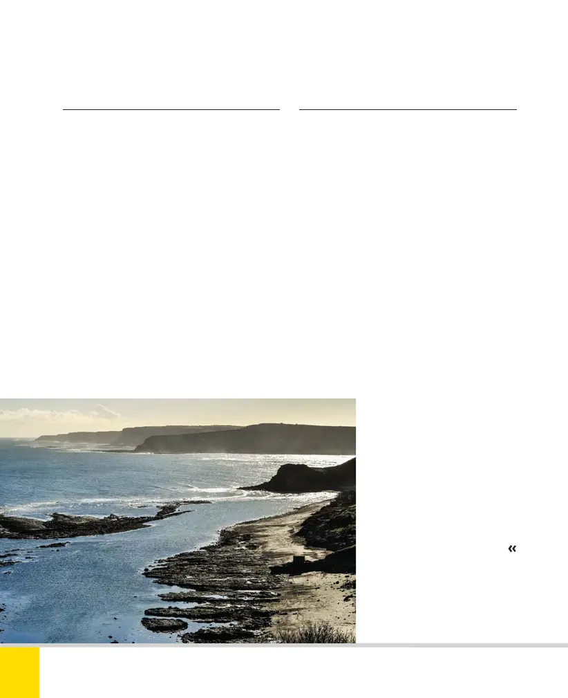 Page #218 background image