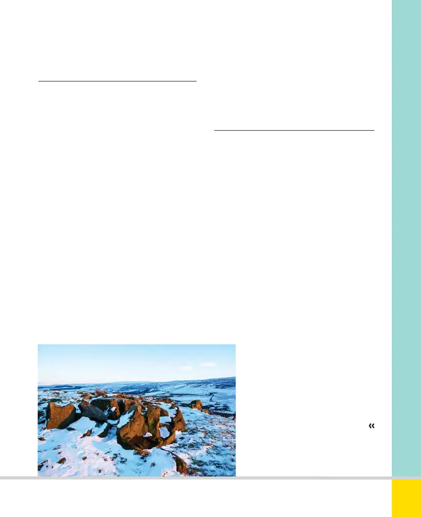 Page #219 background image