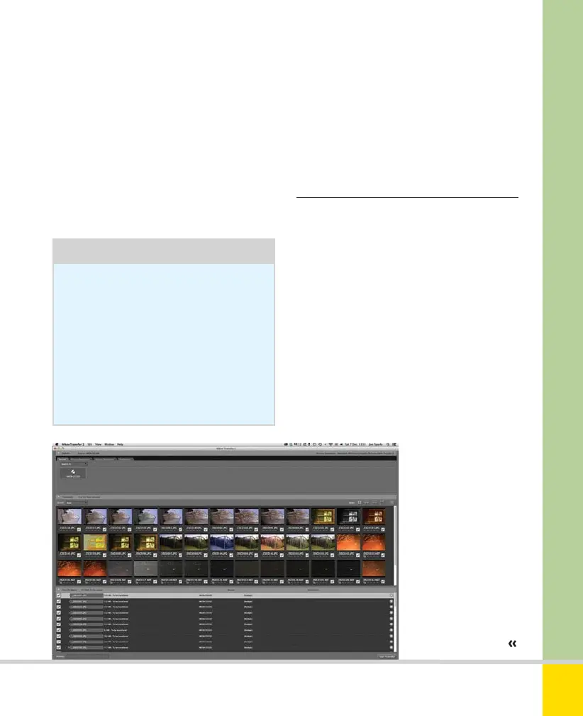 Page #223 background image