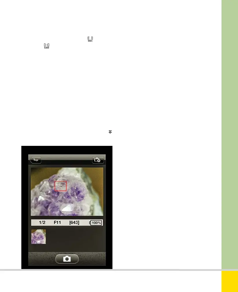 Page #225 background image