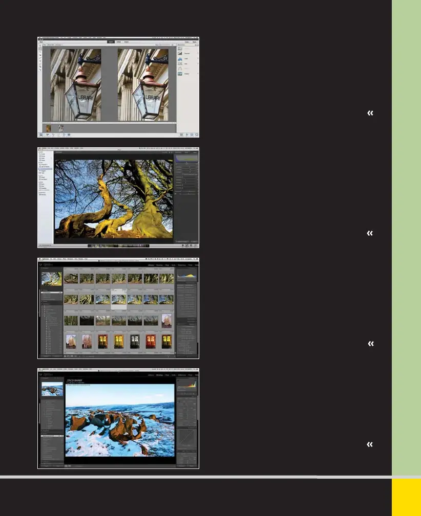Page #229 background image