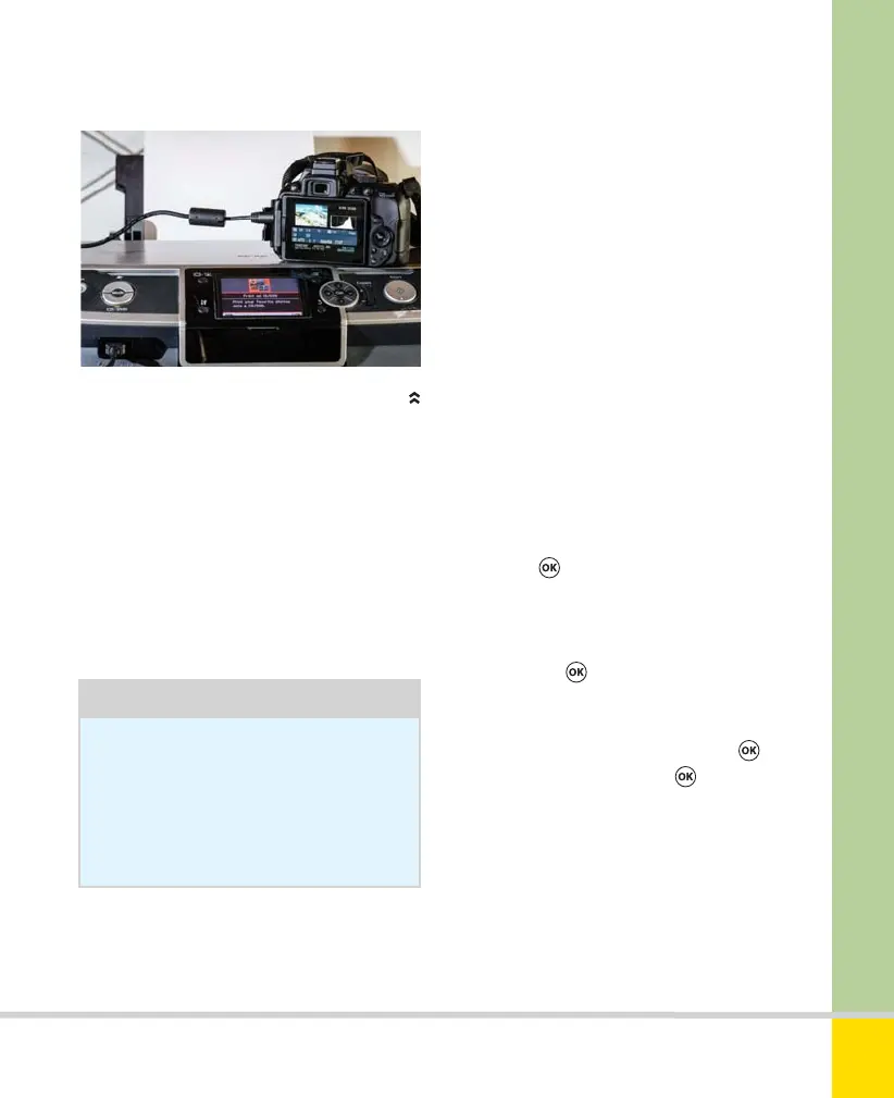 Page #231 background image