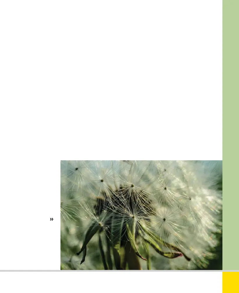 Page #233 background image
