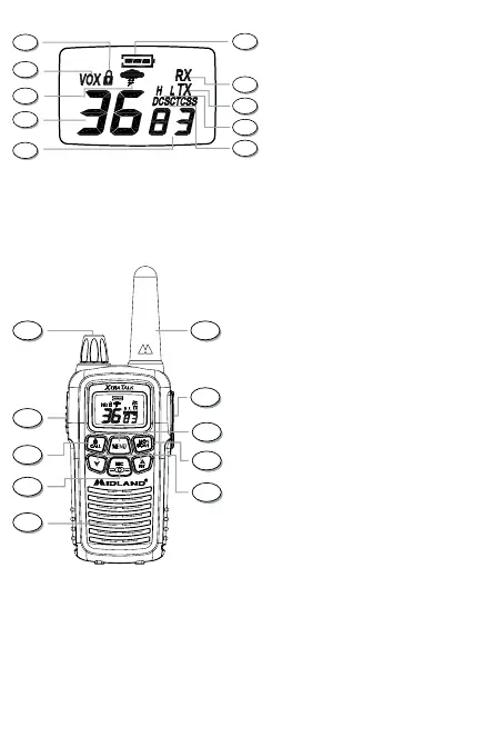 Page #4 background image