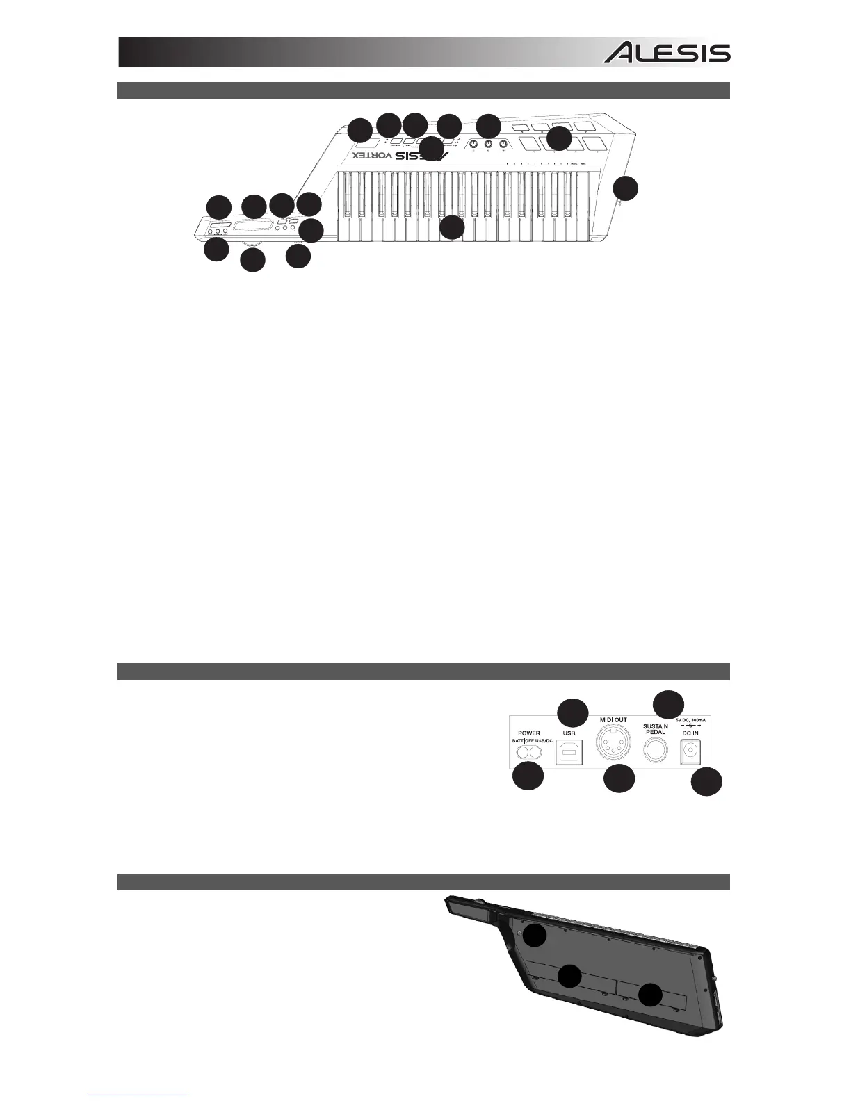 Page #3 background image