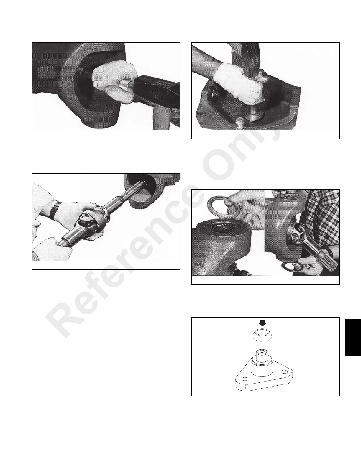 Page #245 background image