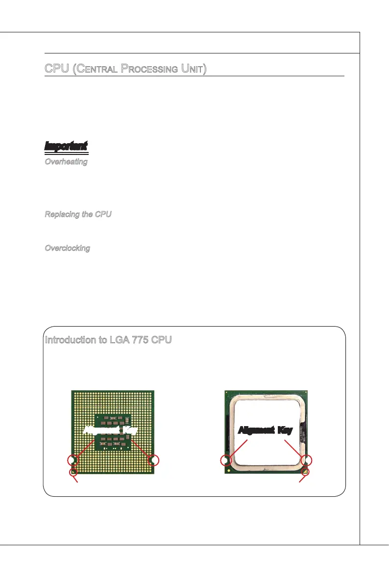 Page #19 background image