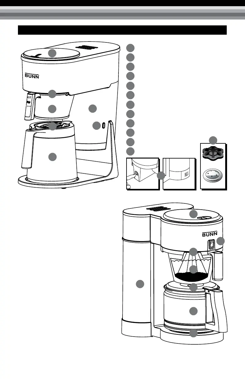 Page #2 background image