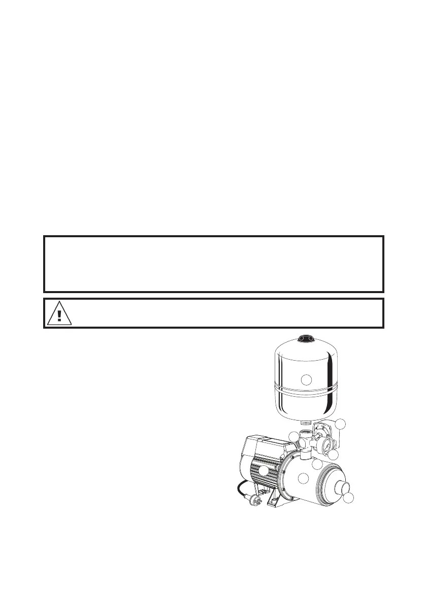 Page #2 background image