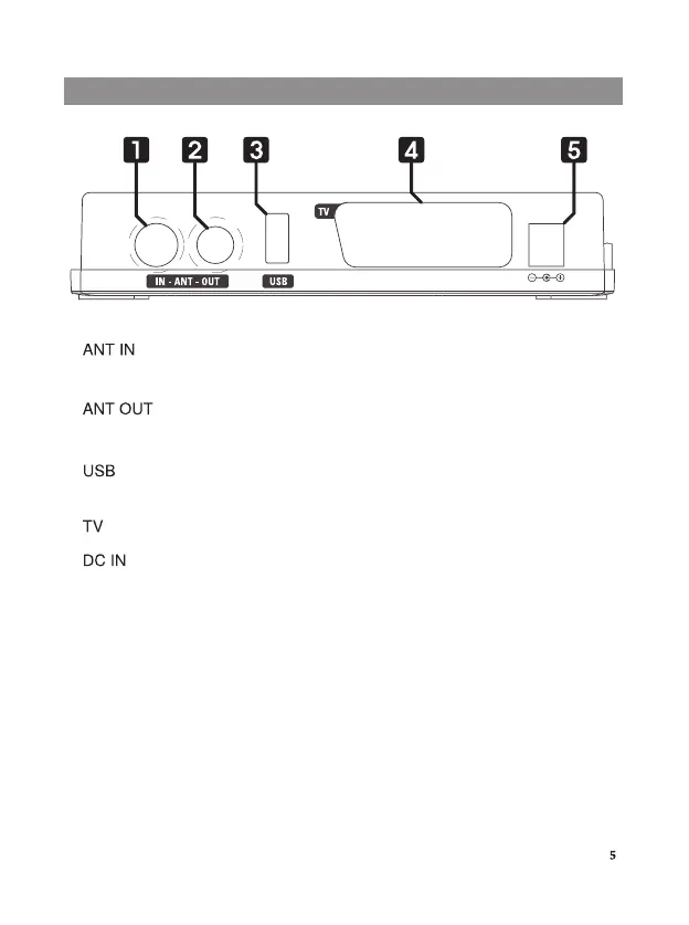 Page #5 background image