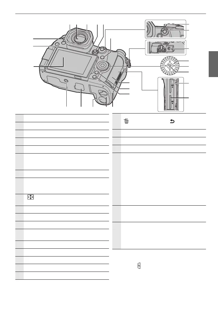Page #13 background image