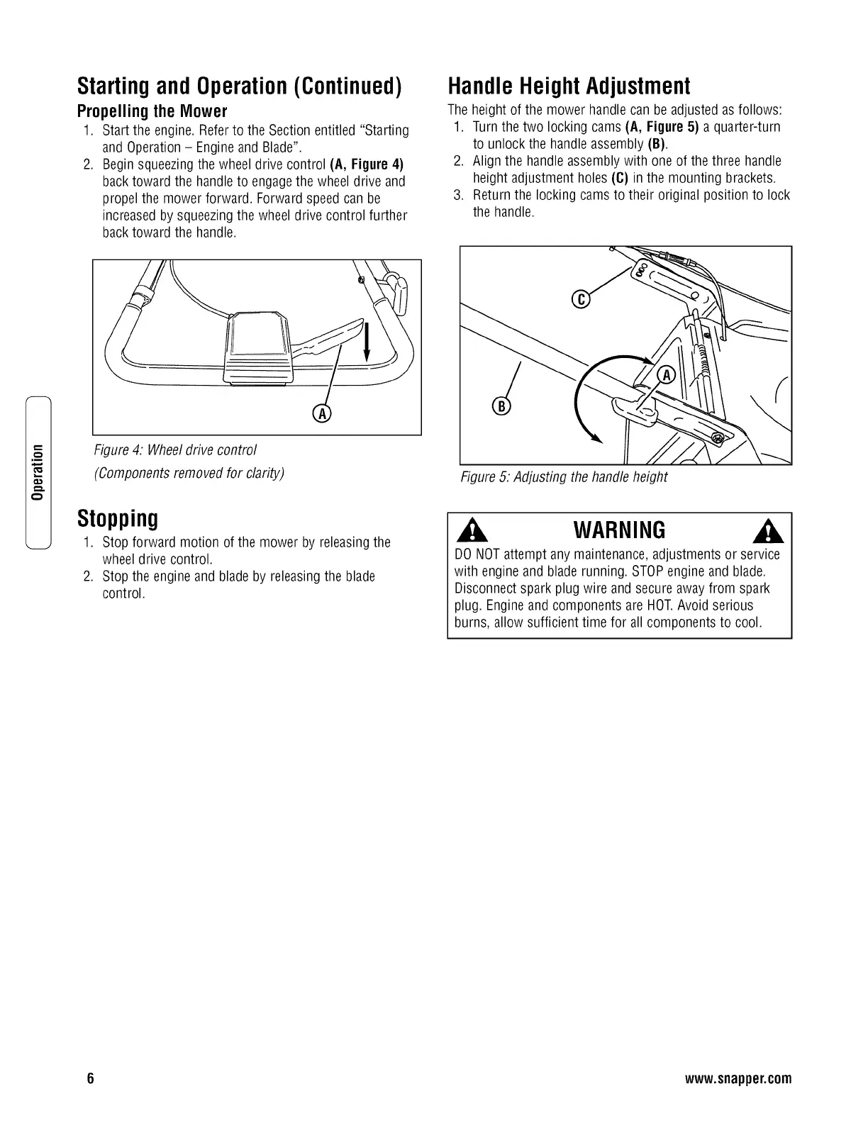 Page #8 background image