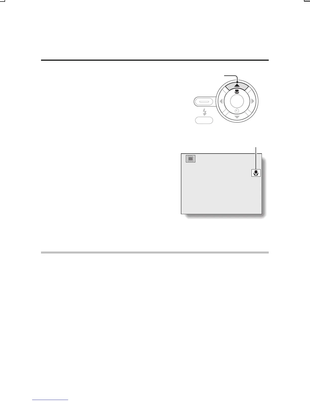 Page #58 background image