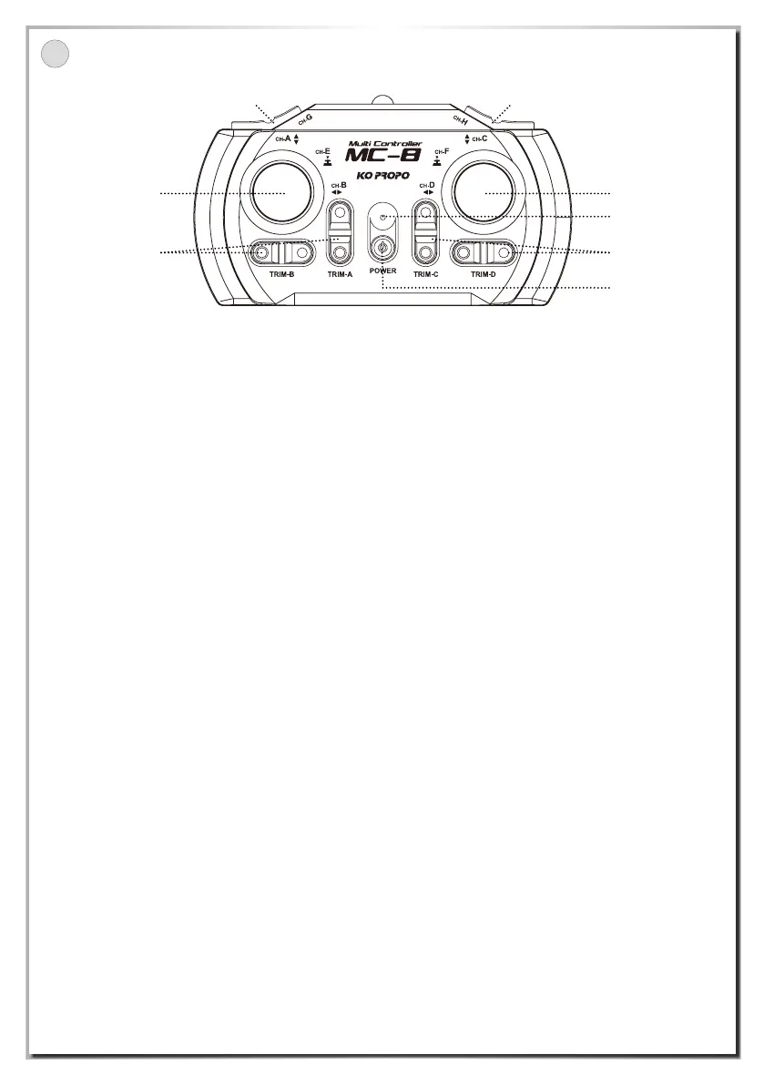 Page #2 background image