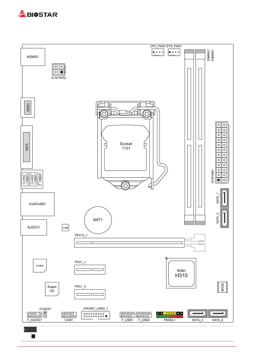 Page #6 background image