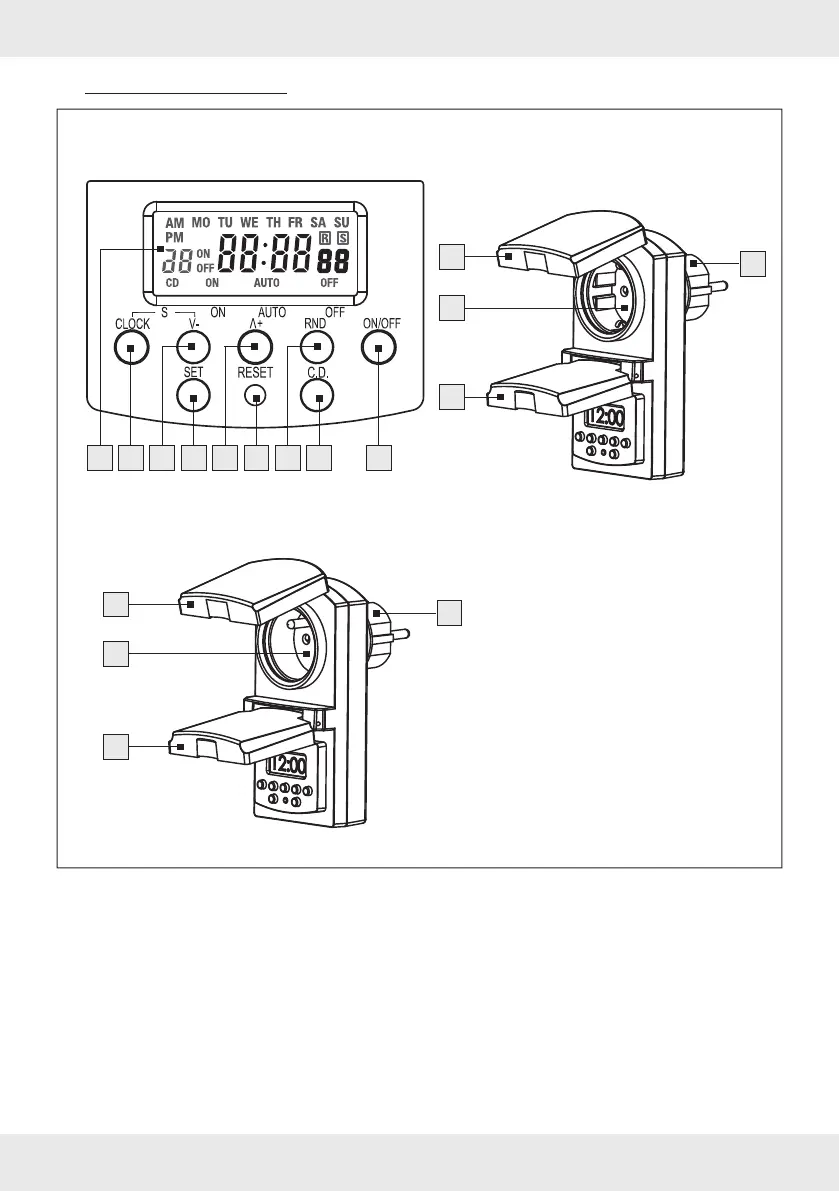 Page #7 background image