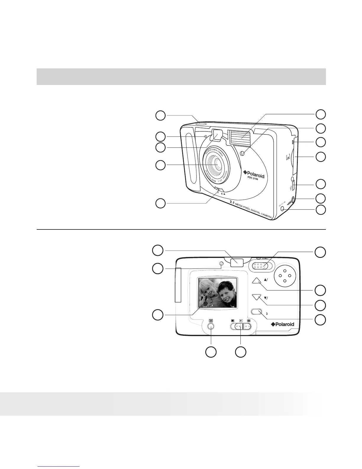 Page #3 background image