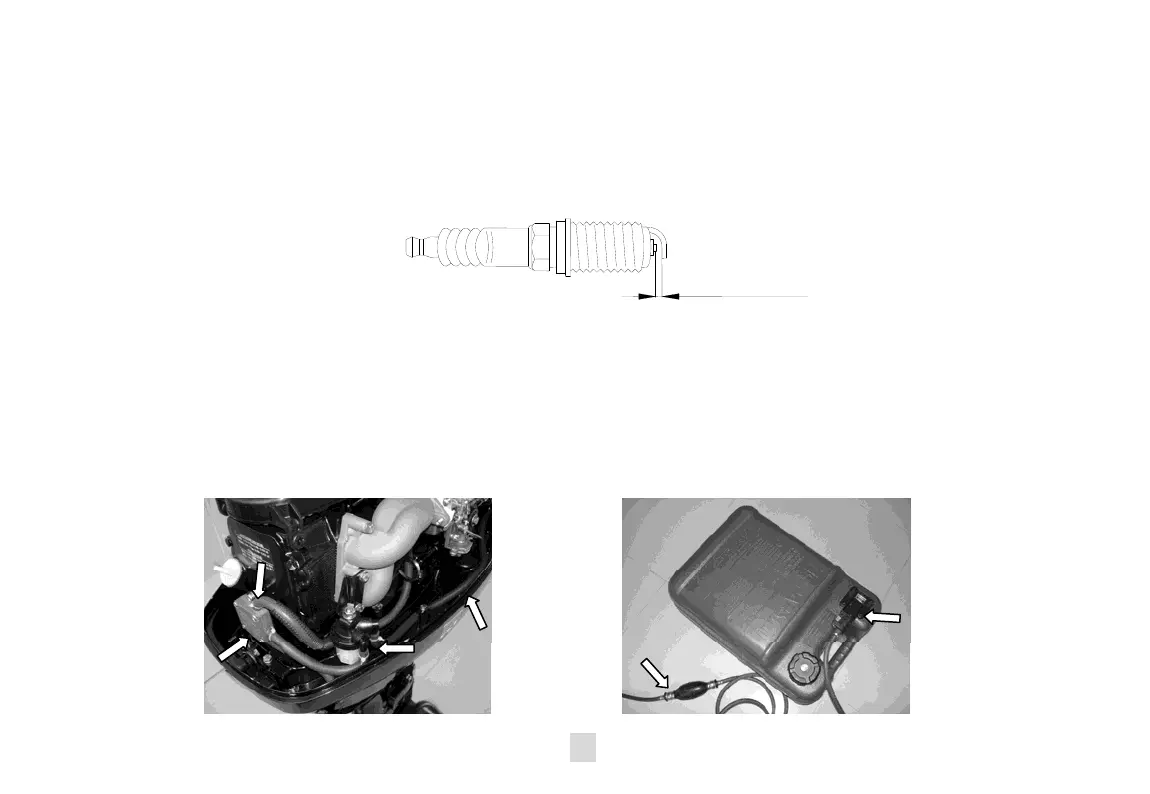Page #50 background image