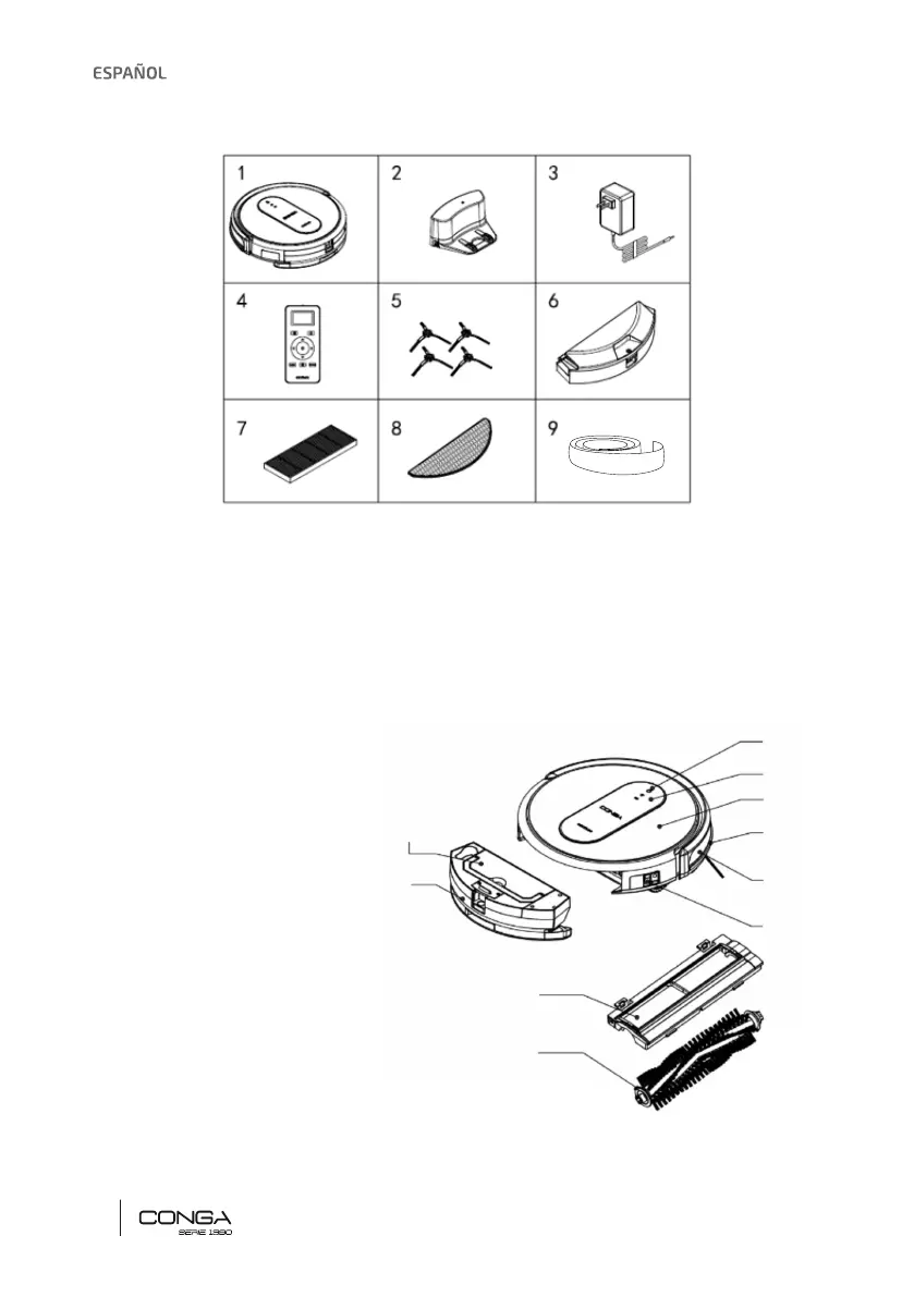 Page #4 background image