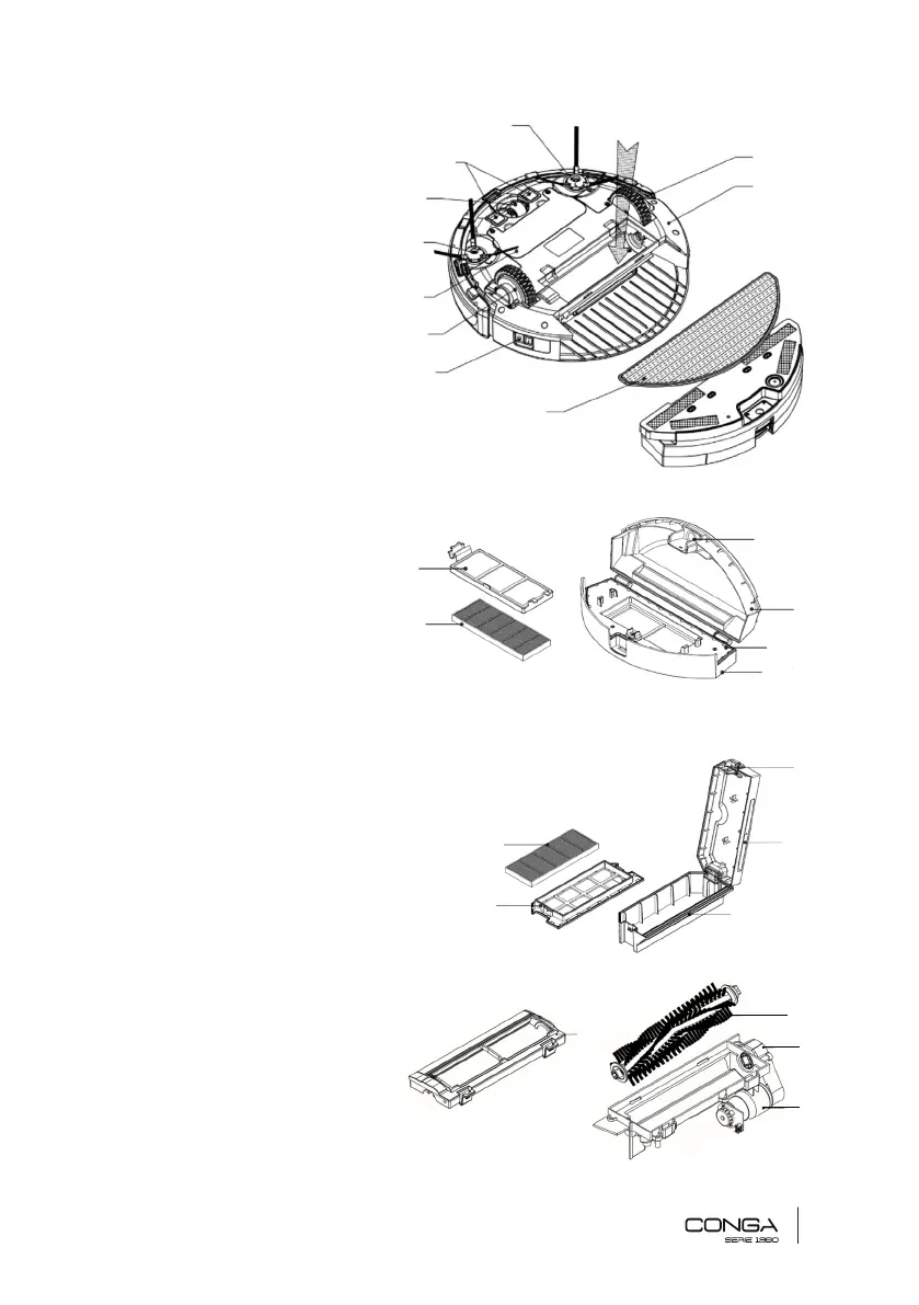 Page #5 background image