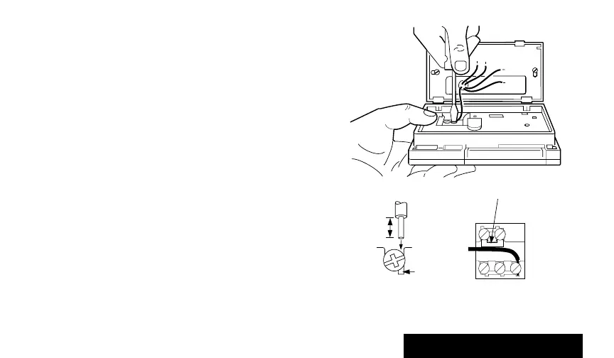 Page #61 background image