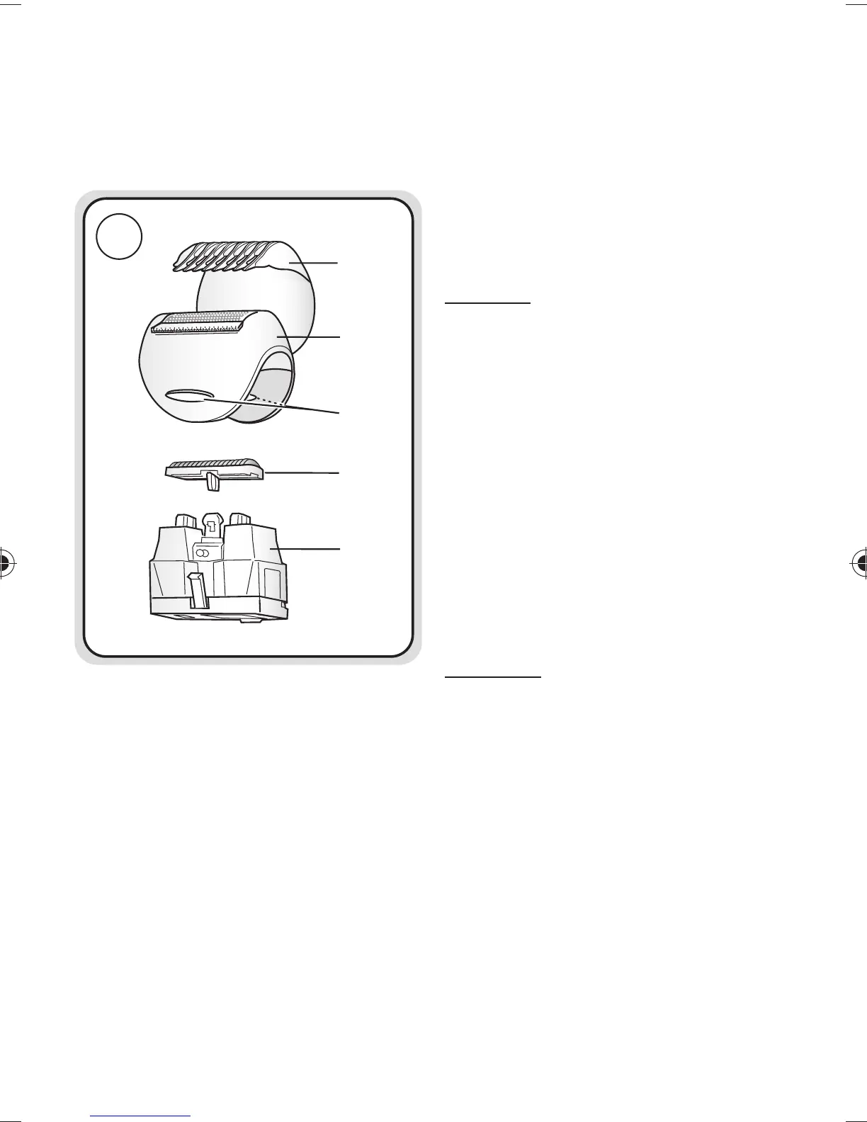 Page #19 background image