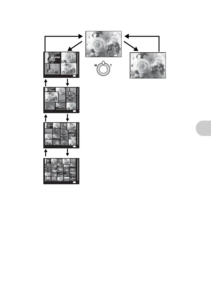Page #17 background image
