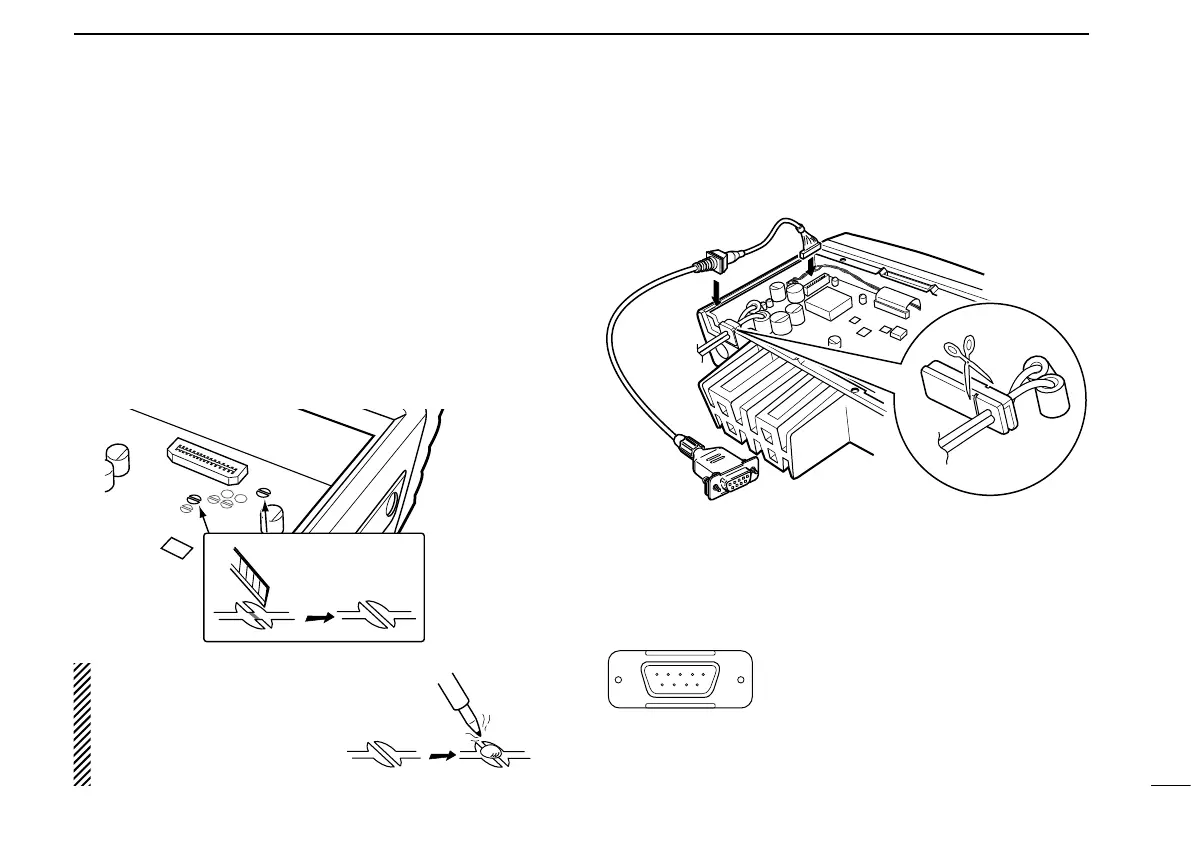 Page #17 background image