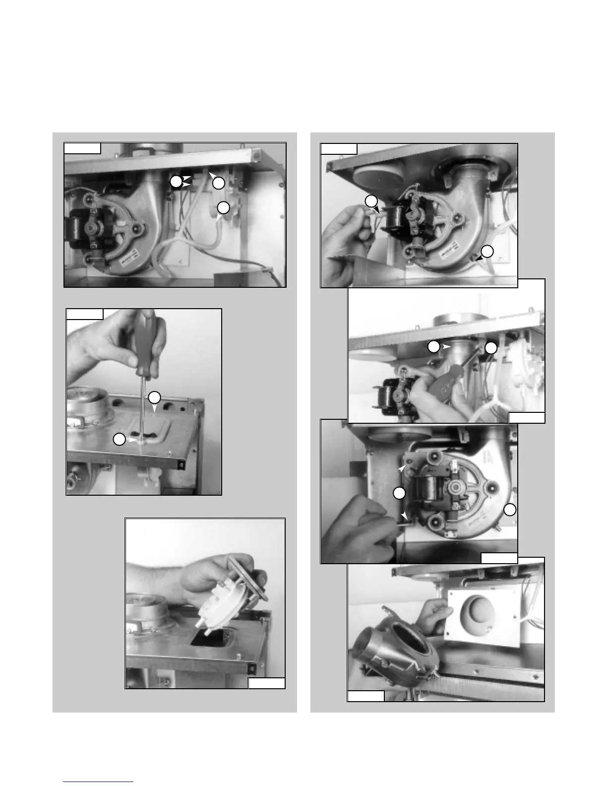 Page #31 background image