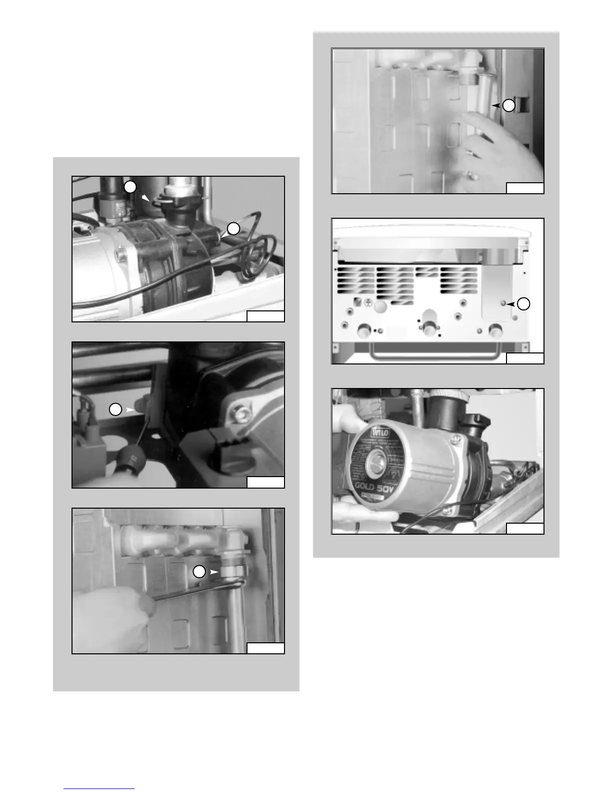 Page #36 background image