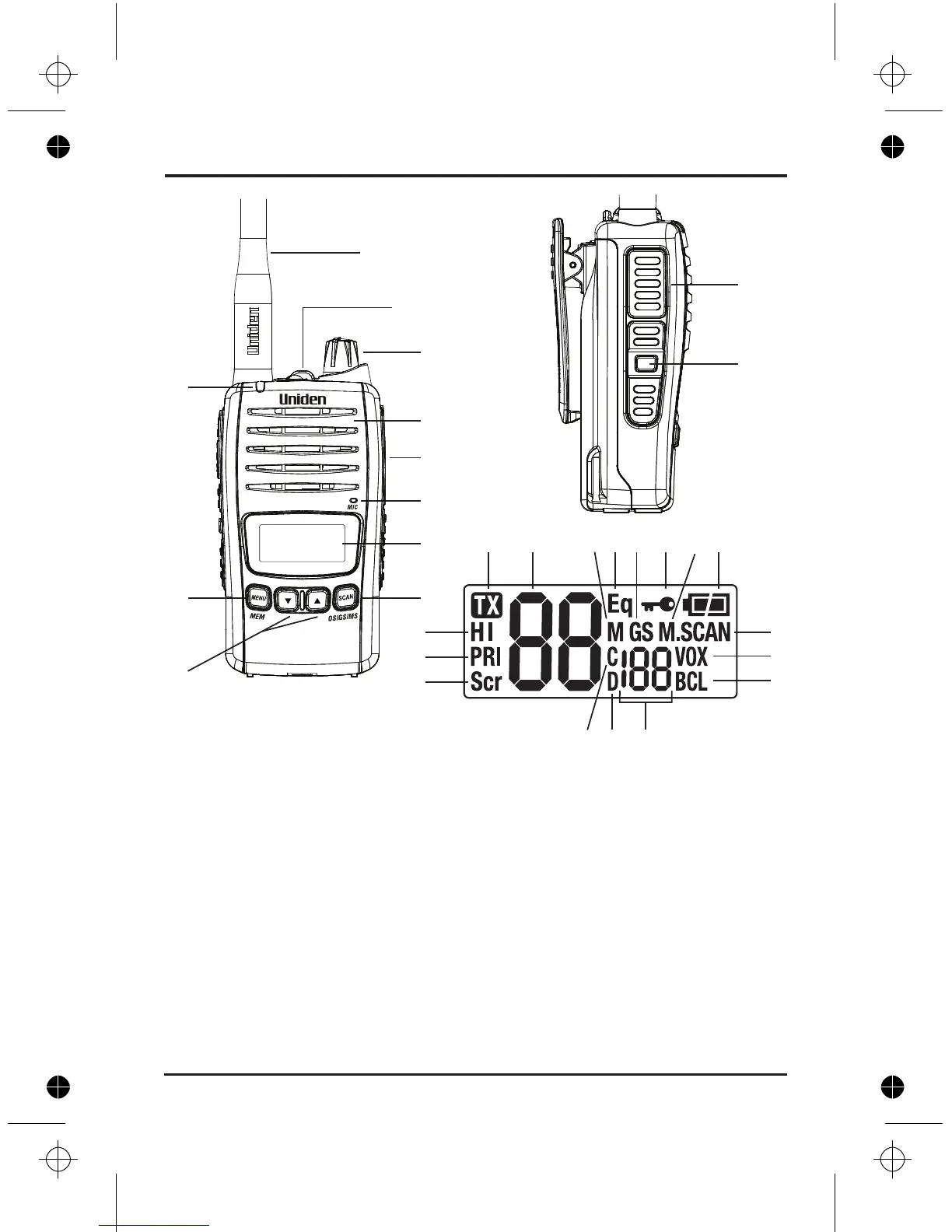Page #6 background image