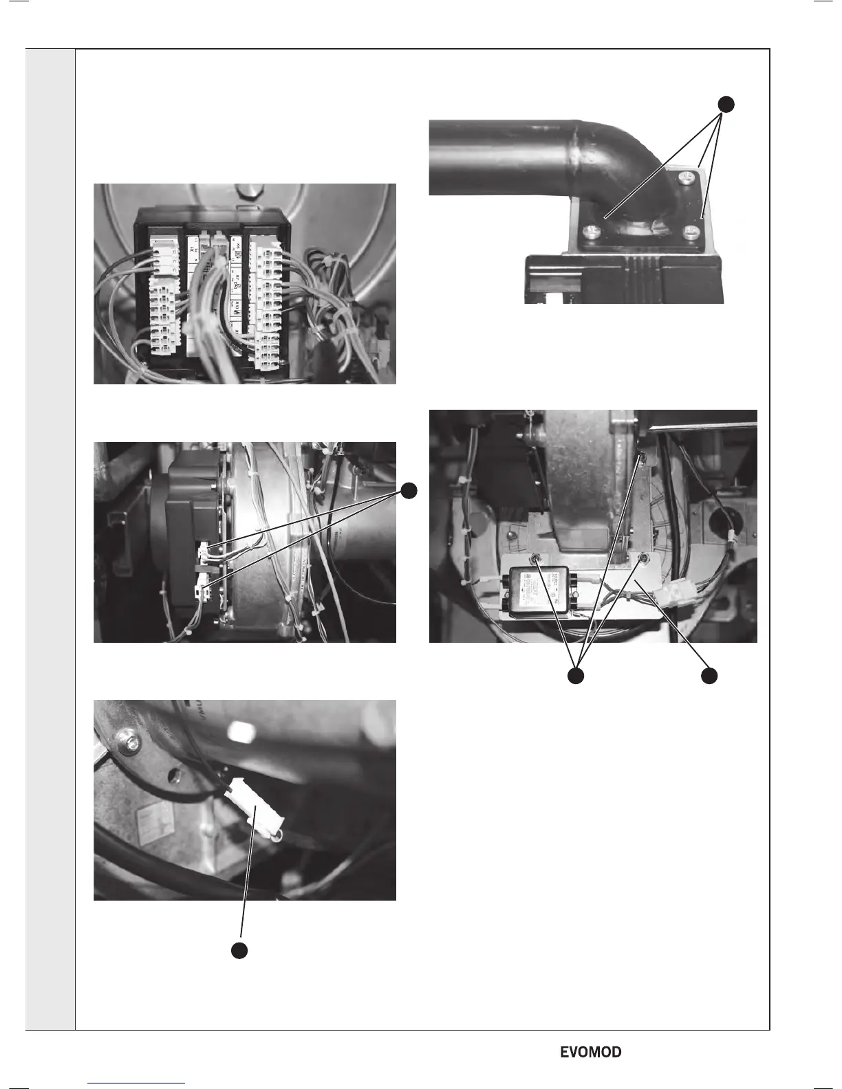 Page #38 background image