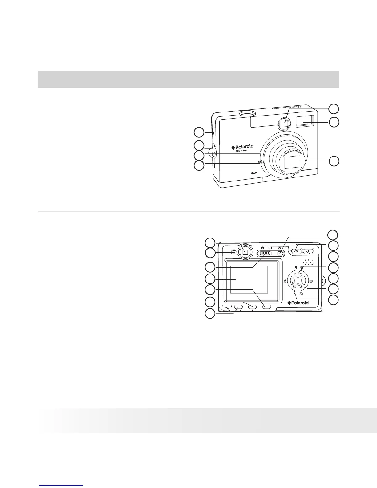 Page #2 background image