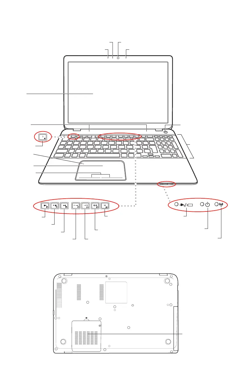 Page #3 background image