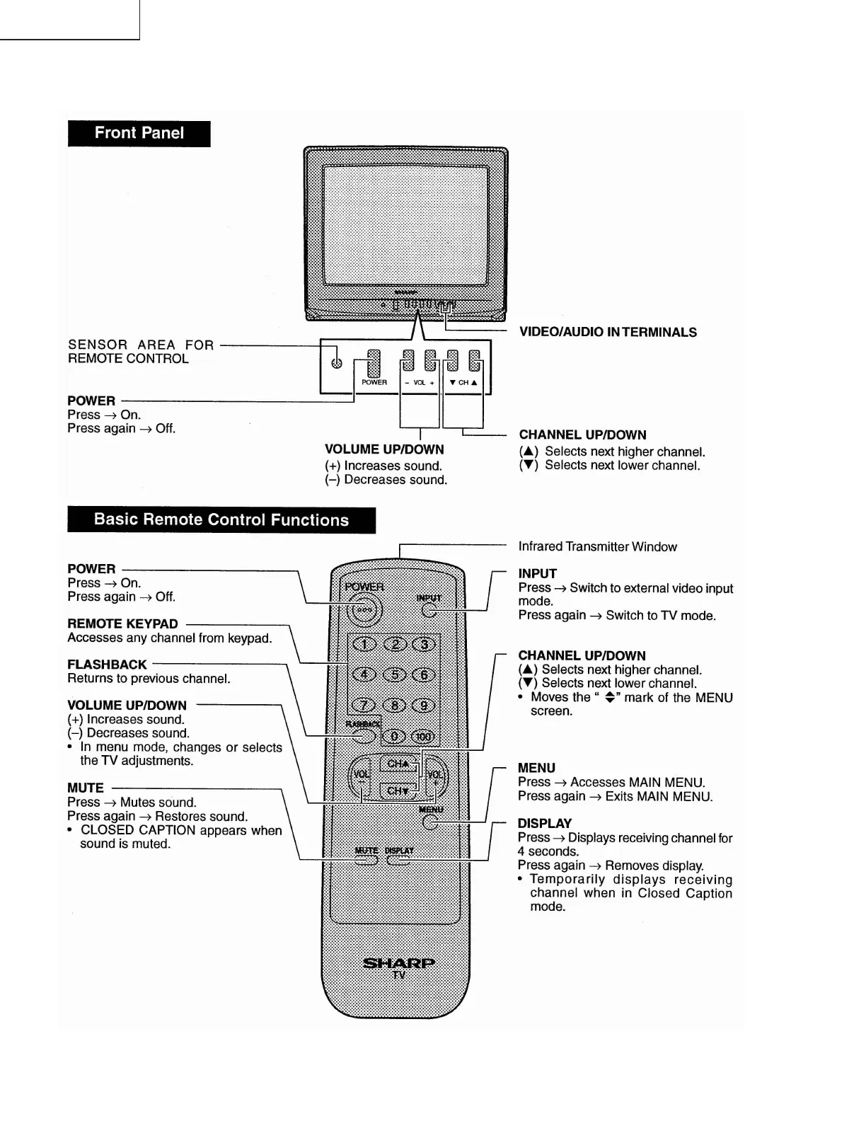 Page #6 background image