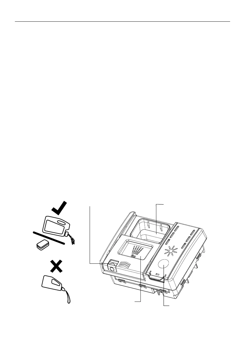 Page #19 background image