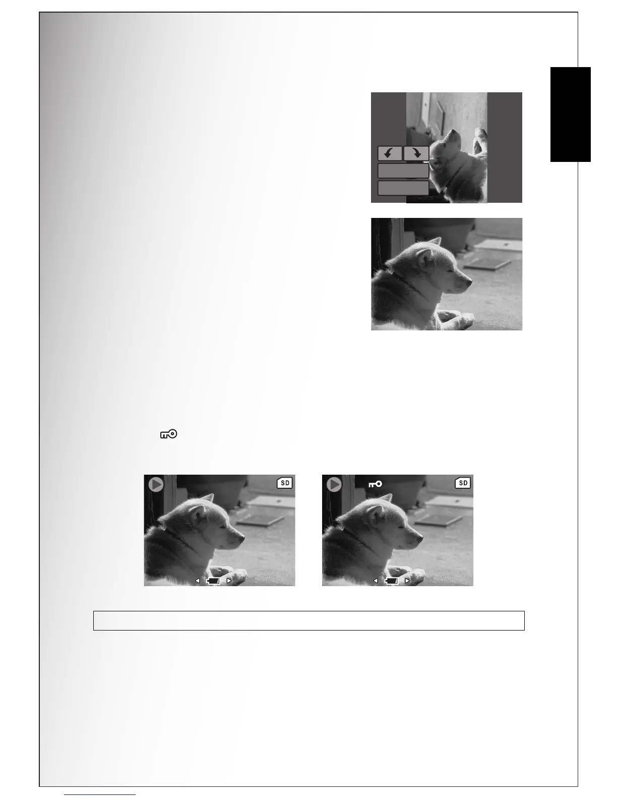 Page #46 background image