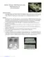 Preview: Instructions For Use