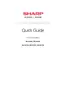 Preview: Quick Guide