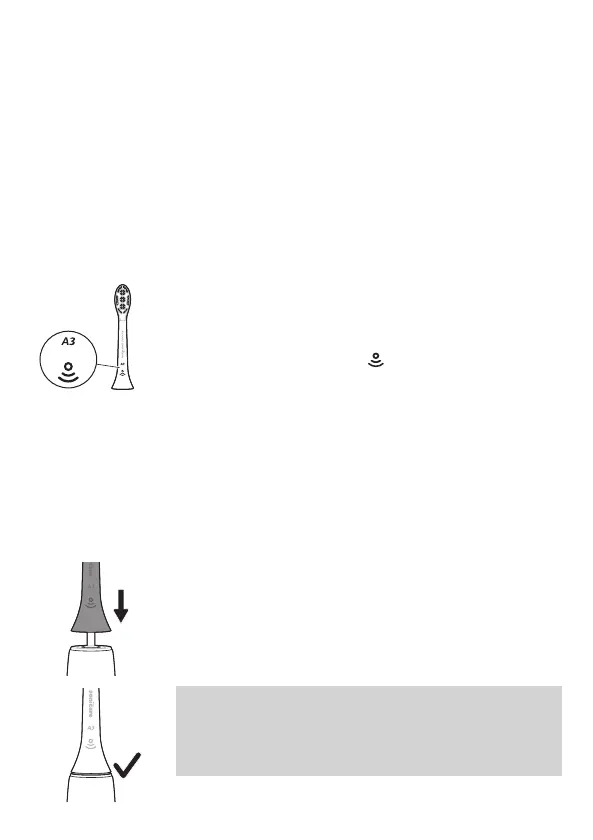 Page #44 background image