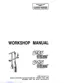 Preview: Workshop Manual