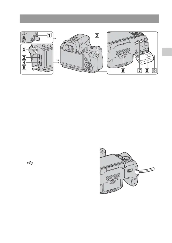 Page #17 background image