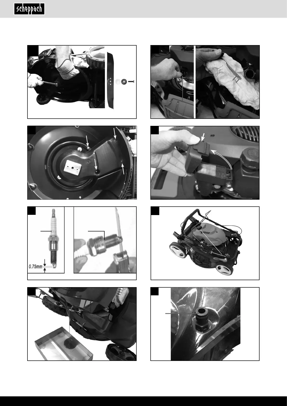 Page #6 background image