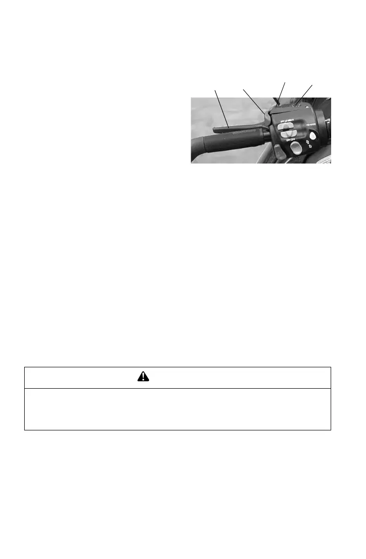 Page #55 background image