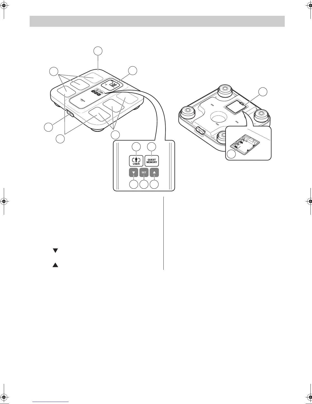 Page #8 background image