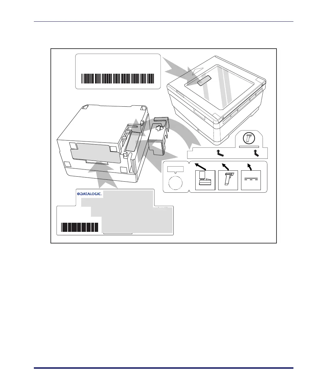 Page #21 background image