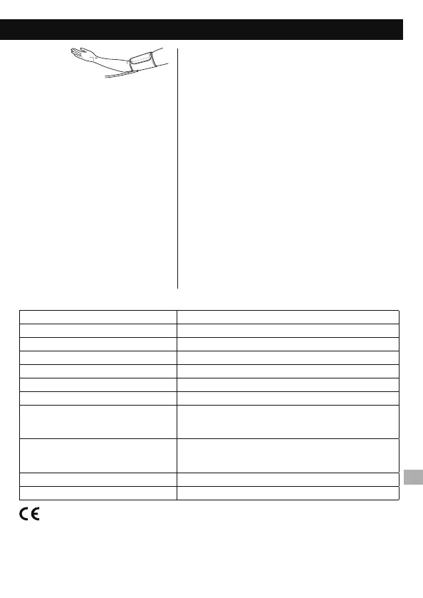 Page #31 background image